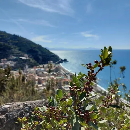 La Formichella Bed and breakfast 3*
